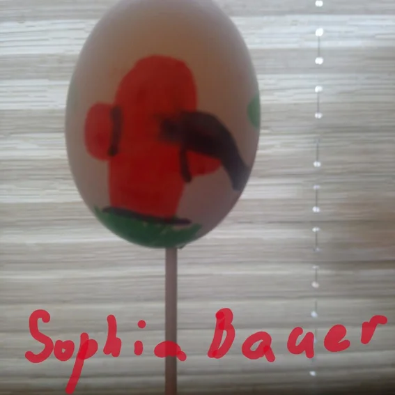 Lichtenfels_ Sophia.Bauer 1.jpg